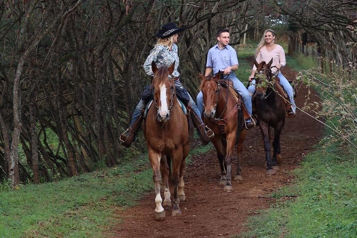 Gunstock Ranch – Sweetheart Ride