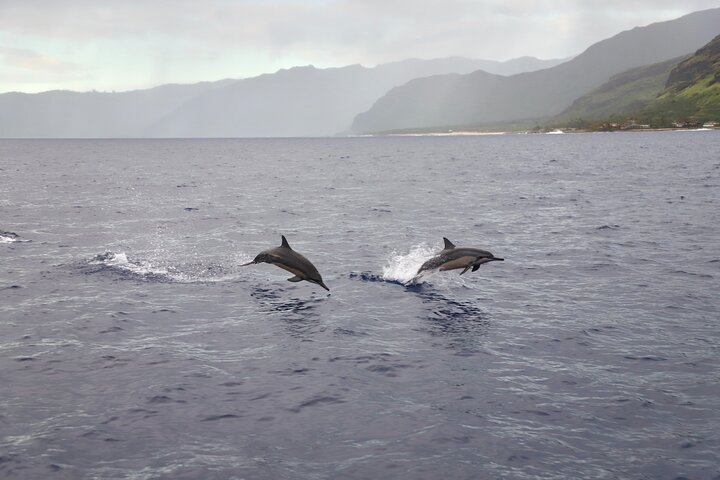 Hawaii Nautical – West Oahu Dolphin Watch and Turtle Snorkel Sail with Lunch