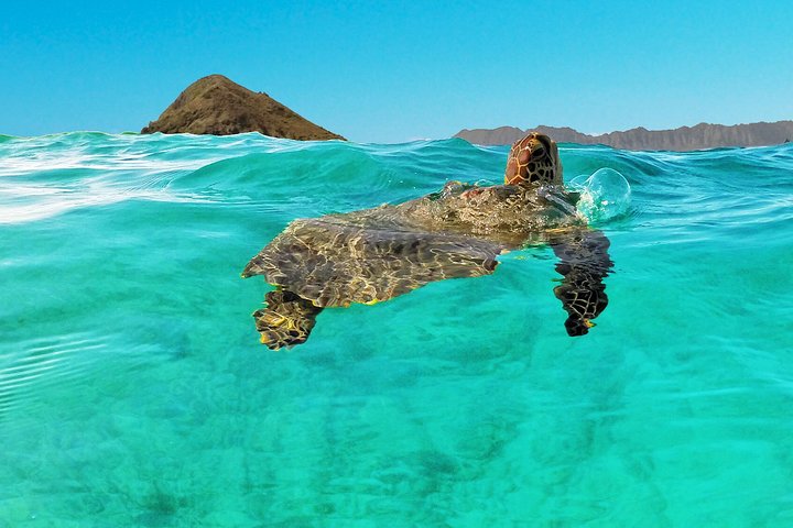 Kailua Beach Adventures – Self-Guided Kayaking Discovery