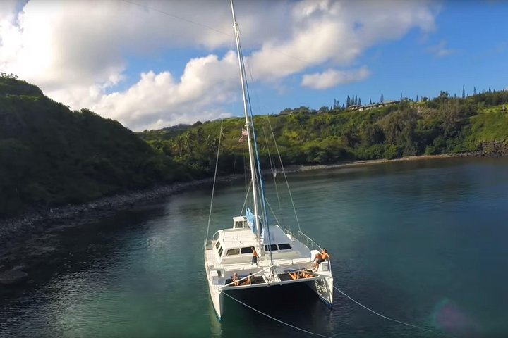 Pacific Whale Foundation – Honolua Snorkel Sail