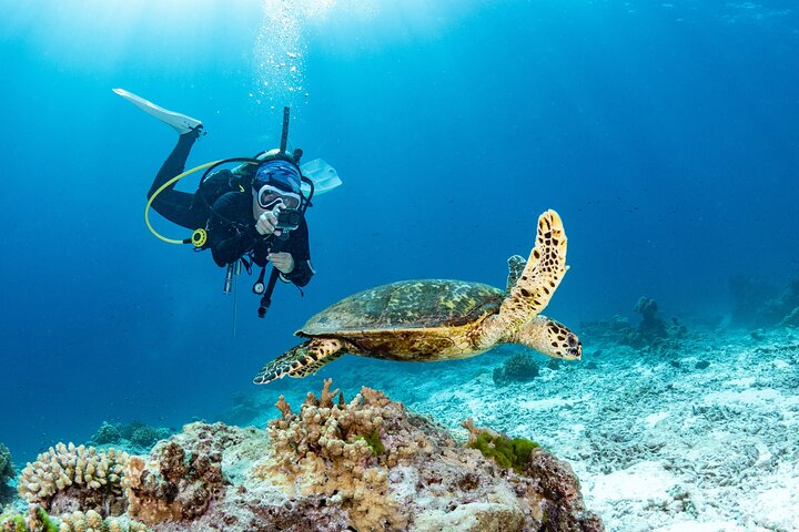 Seasport Divers – Shore Dive