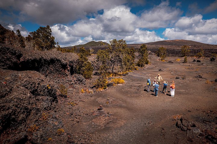 Hawaii Forest & Trail – Volcano Direct Hiking Adventure