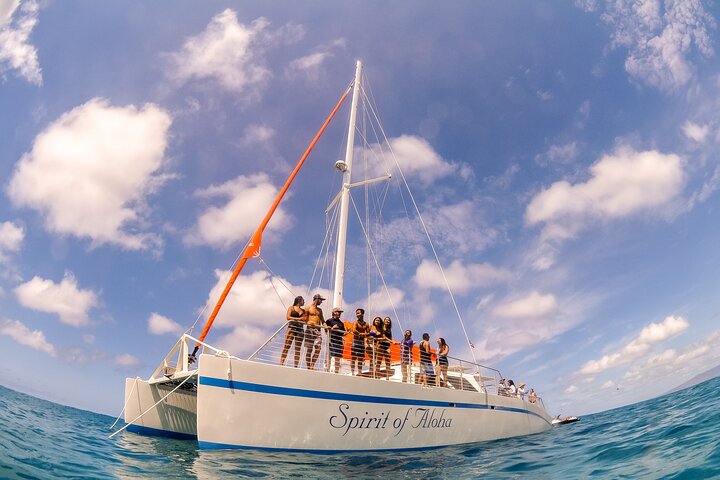 Port Waikiki Cruises – Spirit of Aloha Waikiki Whale Watch Cruise