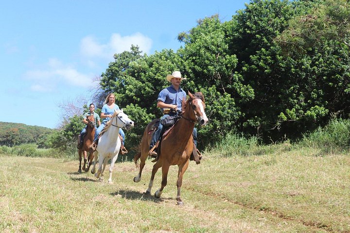 Gunstock Ranch – Private Advanced Trail Ride