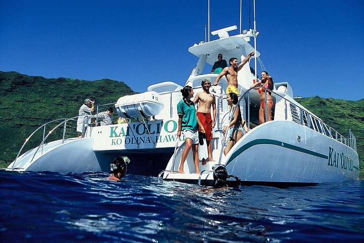 Ocean Joy Cruises – Morning Calm & Afternoon Adventure Cruises