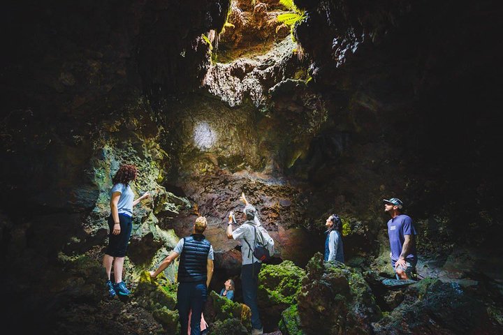 Hawaii Forest & Trail – Hidden Craters Hike Kona