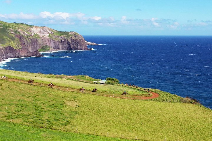 Circle M Ranch – Morning or Afternoon Horseback Ride