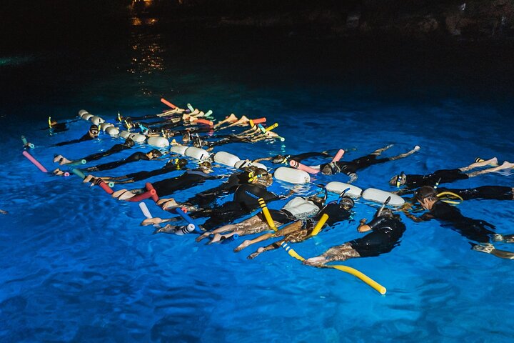Sea Paradise – Moonlight Manta Ray Snorkel Tour