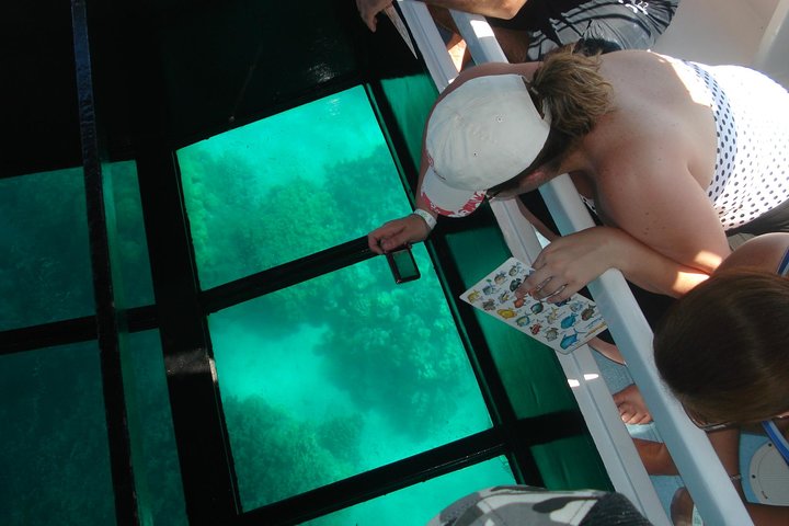 Ocean Sports – Glass Bottom Boat Tour