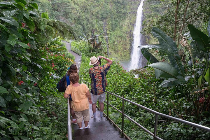 Wasabi Tours – Big Island Waterfalls Adventure