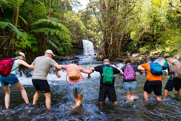 Hike Maui – Waterfall & Rainforest Hiking Adventure