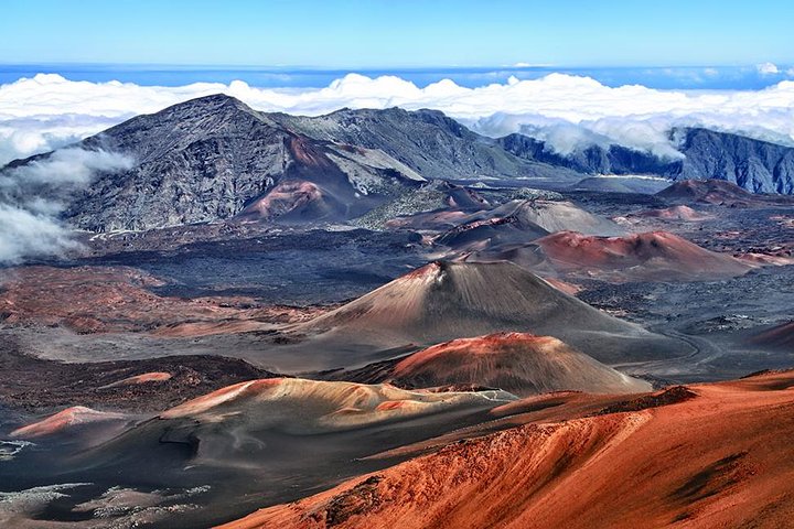 Polynesian Adventure Tours – Oahu to Maui – Best of Maui: Sips, Sites & Bites