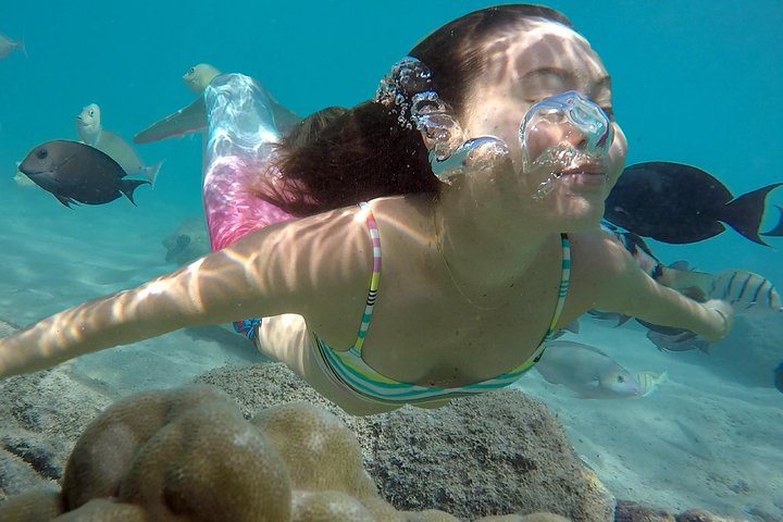 Try Scuba Diving Honolulu – Mermaid Snorkel Tour & Photo Shoot