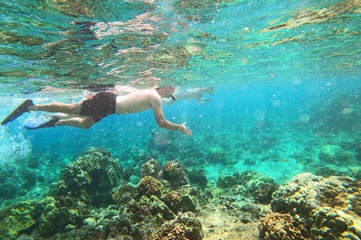 Hilo Ocean Adventures – Beach Snorkel Sea Turtle Lagoon & Black Sand Beach