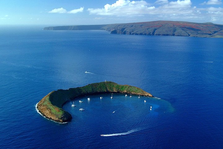 Calypso Charters – Molokini Crater & Turtle Town Snorkel Adventure