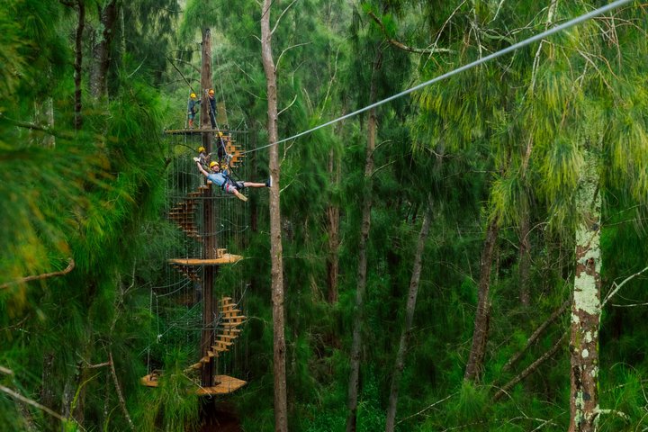 Kohala Zipline – Kohala Canopy Adventure