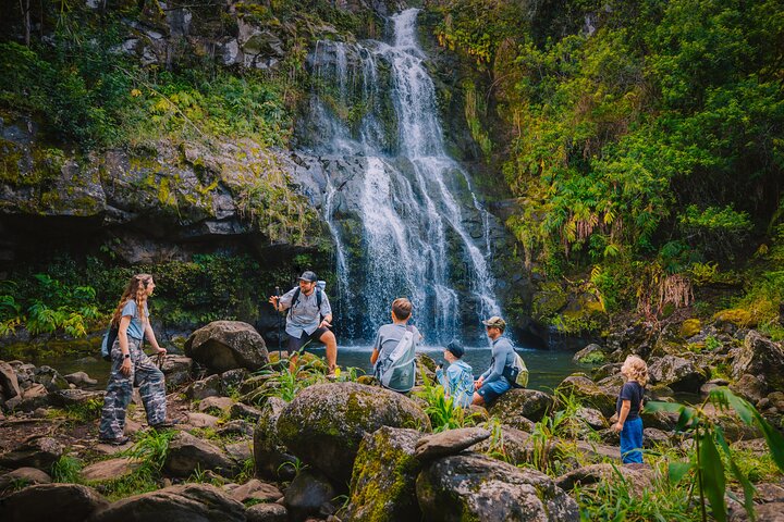 Hawaii Forest & Trail – Kohala Waterfalls Adventure