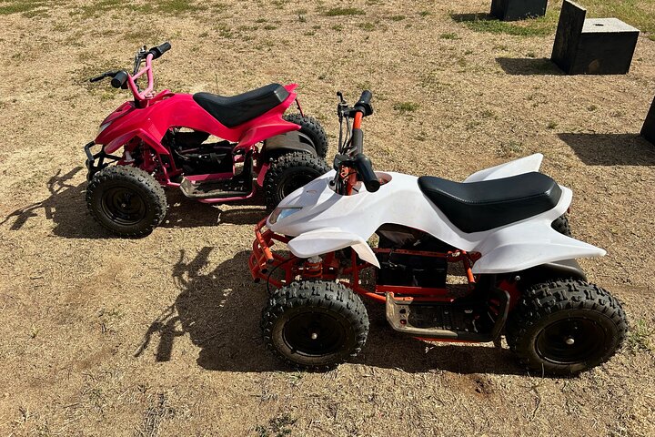 North Shore Stables – Beachfront ATV, Farm Animals & Native Hawaiian Plant Experience