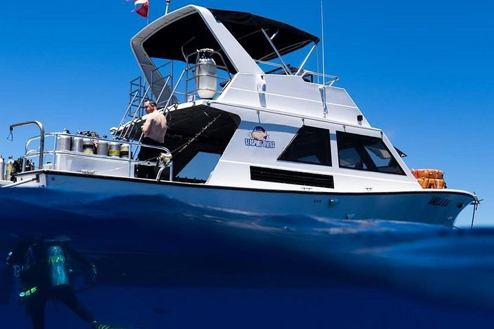 Seasport Divers – Afternoon Two Tank Dive