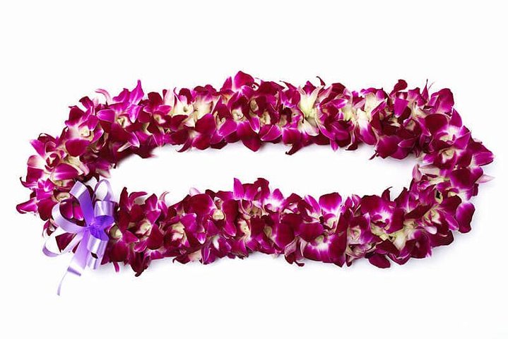 Deluxe Orchid Lei Greeting at Kahului Airport