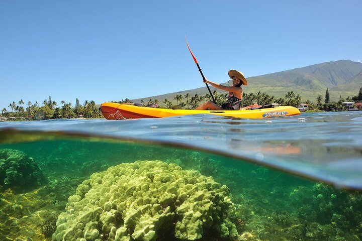 Maui Turtle Reef Kayak Tour of Makena
