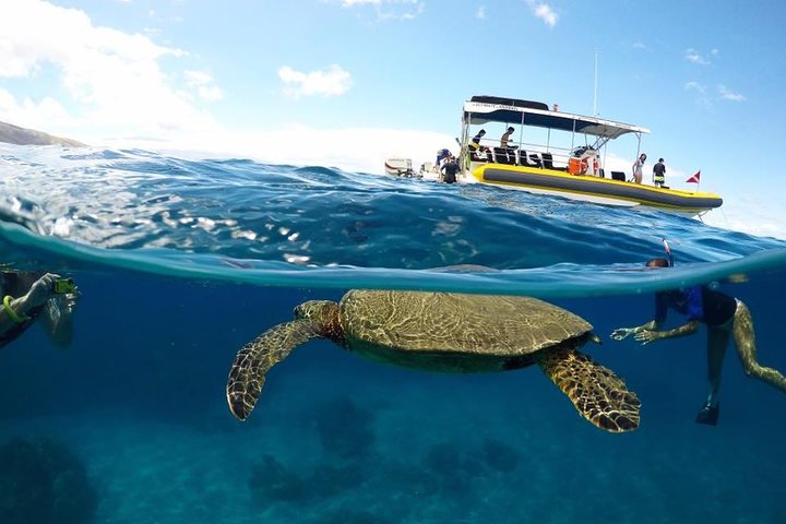 Ultimate Lanai Snorkel and Dolphin Encounter